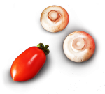 veg++ veg++